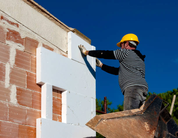 Best Insulation Maintenance and Repair in Laurel, DE