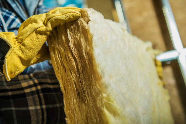 Trusted Laurel, DE Insulation Contractor Experts