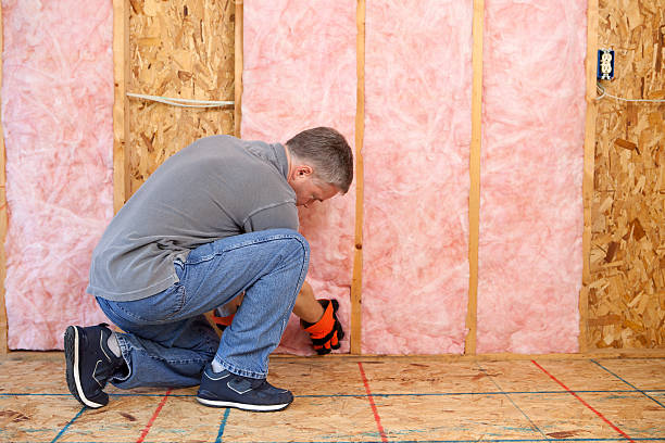 Types of Insulation We Offer in Laurel, DE
